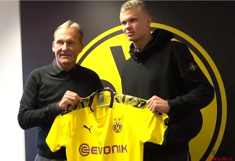 的不是牌面 的不是牌面